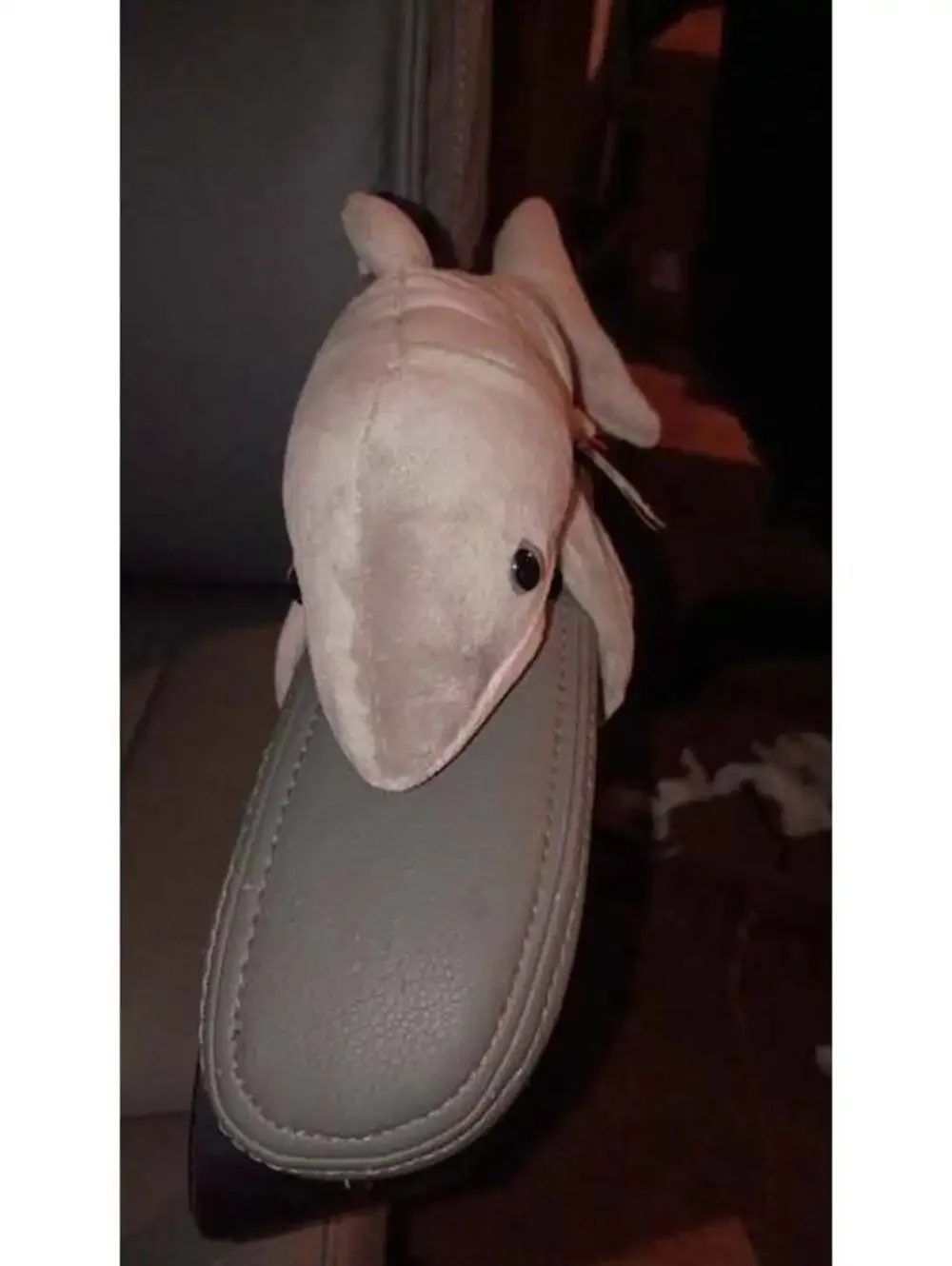 Cute Plush Shark Stuffed Animal Toy for Kids and Friends